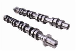 Ford Performance Parts Hot Rod Camshafts M-6550-3V